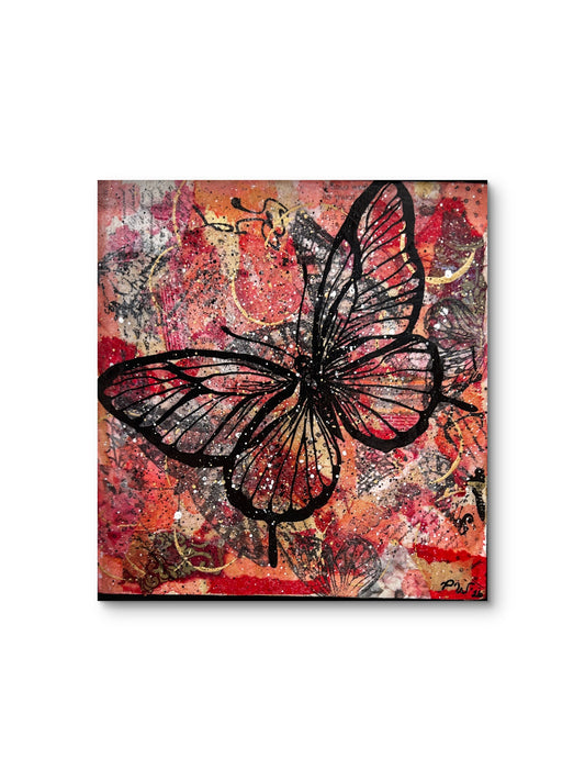 Fluttering through the Roses